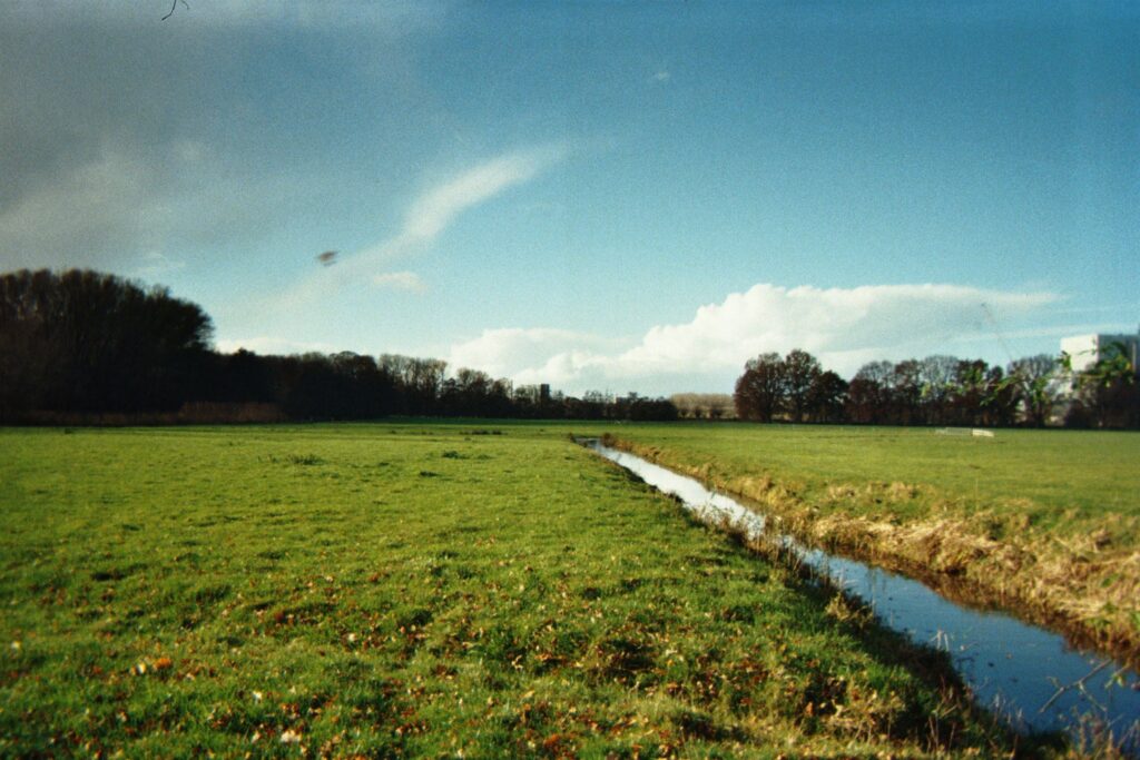 Peaceful rural landscape showcasing green farmland under a bright blue sky.